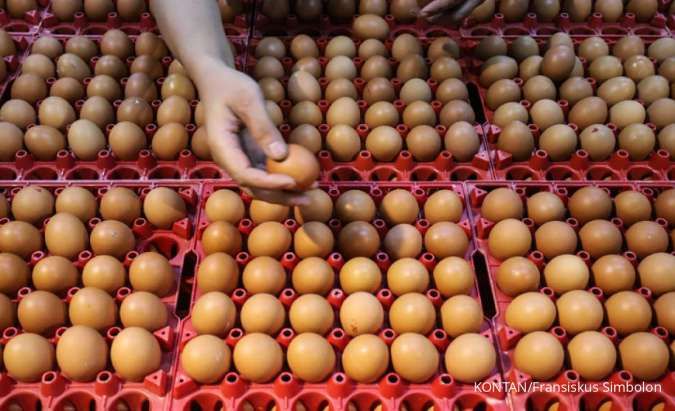 Bird Flu Raises Egg Prices Across the U.S.